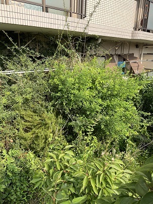 群馬でゴミ屋敷片付けならあかぎホームサービス